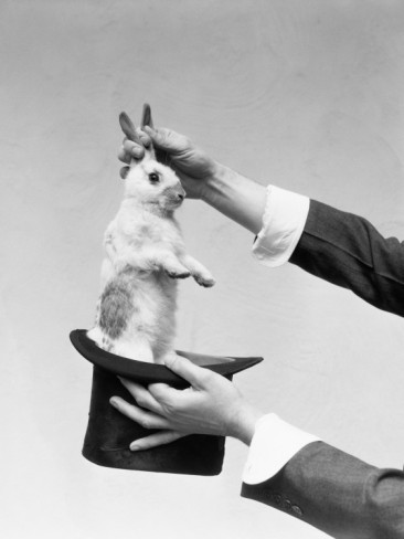 h-armstrong-roberts-hands-of-magician-performing-magic-trick-pulling-rabbit-out-of-top-hat.jpg (366×488)